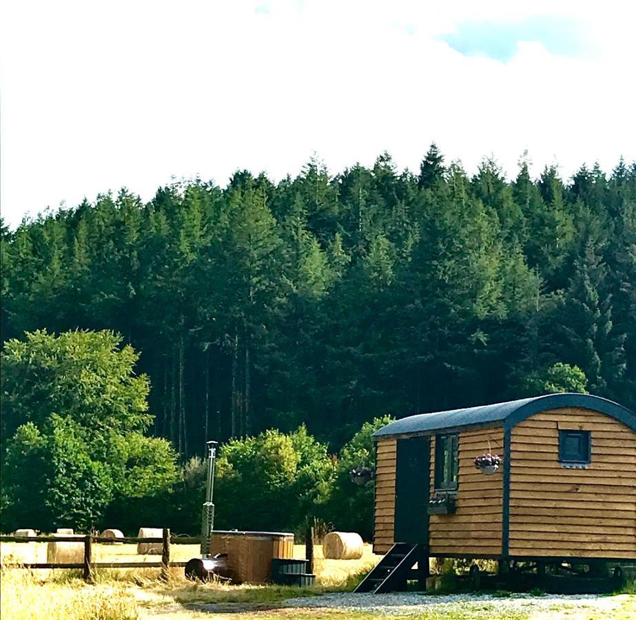 Villa Roosters Retreat Launceston Exterior foto